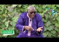 LES VERITES DE N&rsquo;TO BÈTÈ SUR RTOILE TV