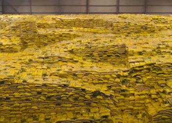 Autosuffisance alimentaire: Usine CIAO multi-industries la solution pour la Guinée 