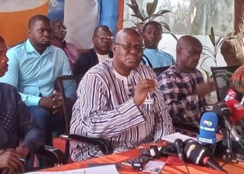 Immersion gouvernementale et la marche de la paix: Dr Faya Milimono y voit un feu de pailles