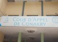 Procès en appel d’Aliou Bah « général Mamadi Doumbouya s&rsquo;est il constitué partie civile ?