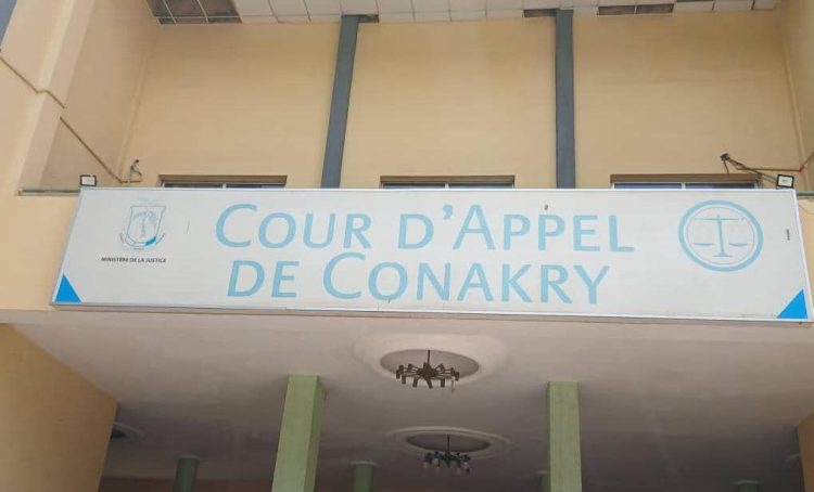 Procès en appel d’Aliou Bah « général Mamadi Doumbouya s&rsquo;est il constitué partie civile ?