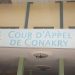 Procès en appel d’Aliou Bah « général Mamadi Doumbouya s&rsquo;est il constitué partie civile ?