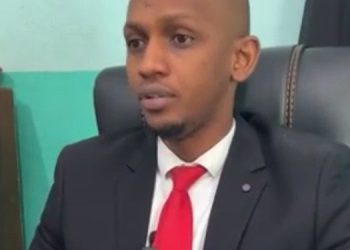 Présence supposée de rebelles à N’Zérékoré: des malades mentaux mis aux arrêts pour « des enquêtes approfondies » (Parquet)