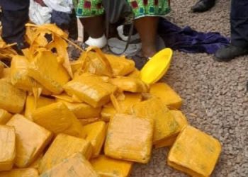 Guinée/kamsar: la police a saisi 62 kg de chanvre indien