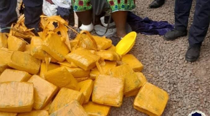 Guinée/kamsar: la police a saisi 62 kg de chanvre indien